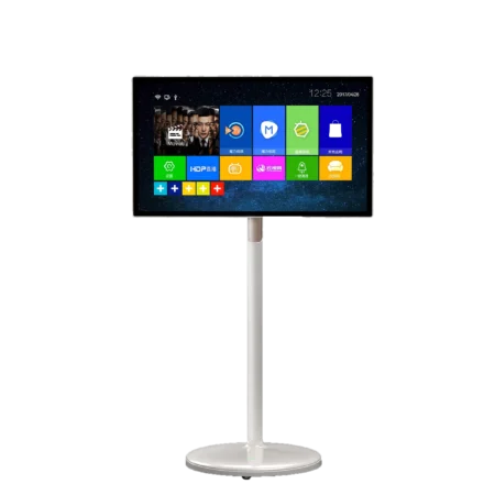 Trueview 32-inch Portable Standy DSS with Built-in Battery